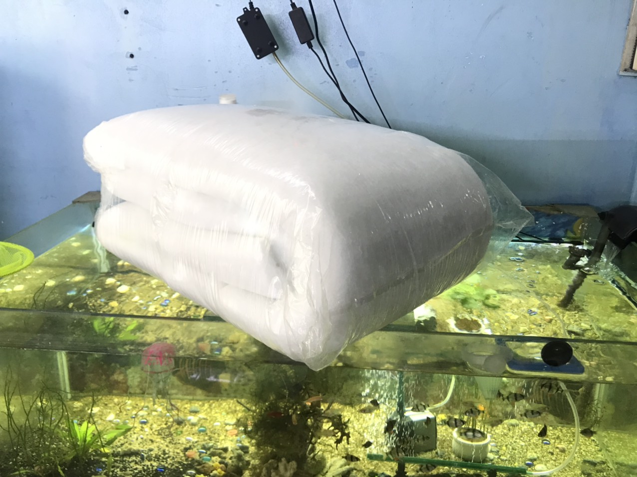 1kg bông lọc bể cá