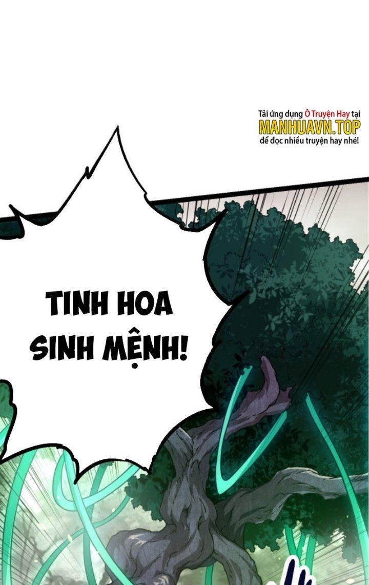 từ cây cổ thụ bắt đầu tiến hóa chapter 10 12