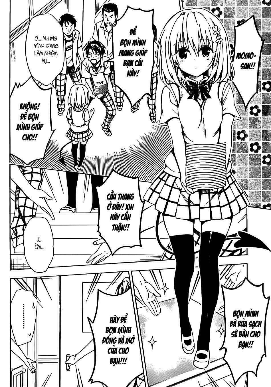 bọn tớ thích cậu! rito 2 - venus chapter 21 13