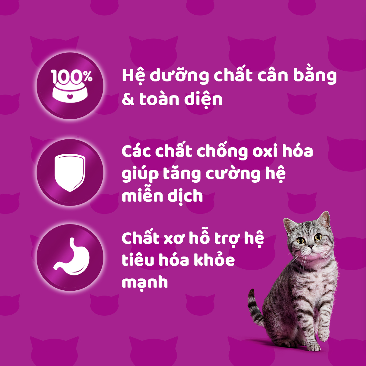 WHISKAS Tasty Mix Thức ăn cho mèo lớn dạng sốt 70g (mix vị) - 12 túi