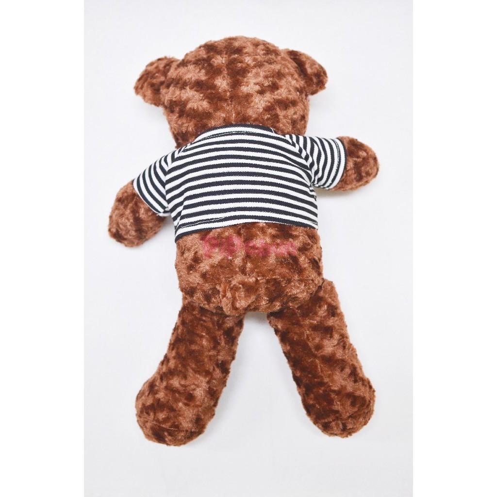 Gấu bông TEDDY Màu Nâu Pipobun size 50cm
