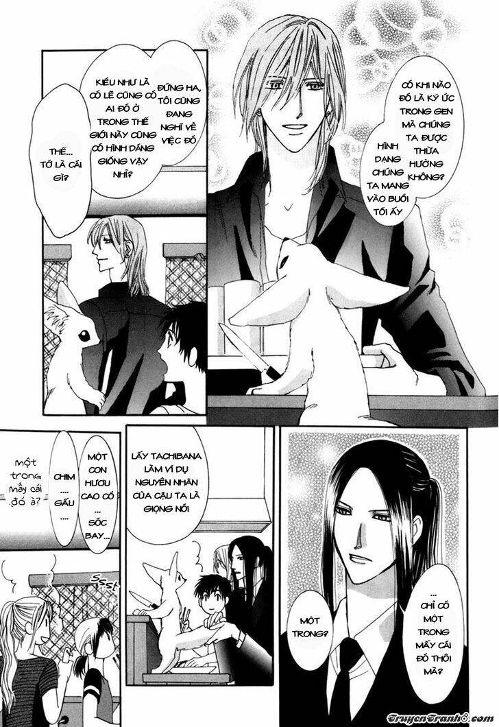 moon trick chapter 12 11