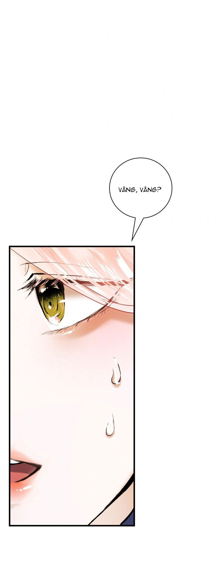 tôi muốn hủy cuộc hôn ước này chapter 5 57