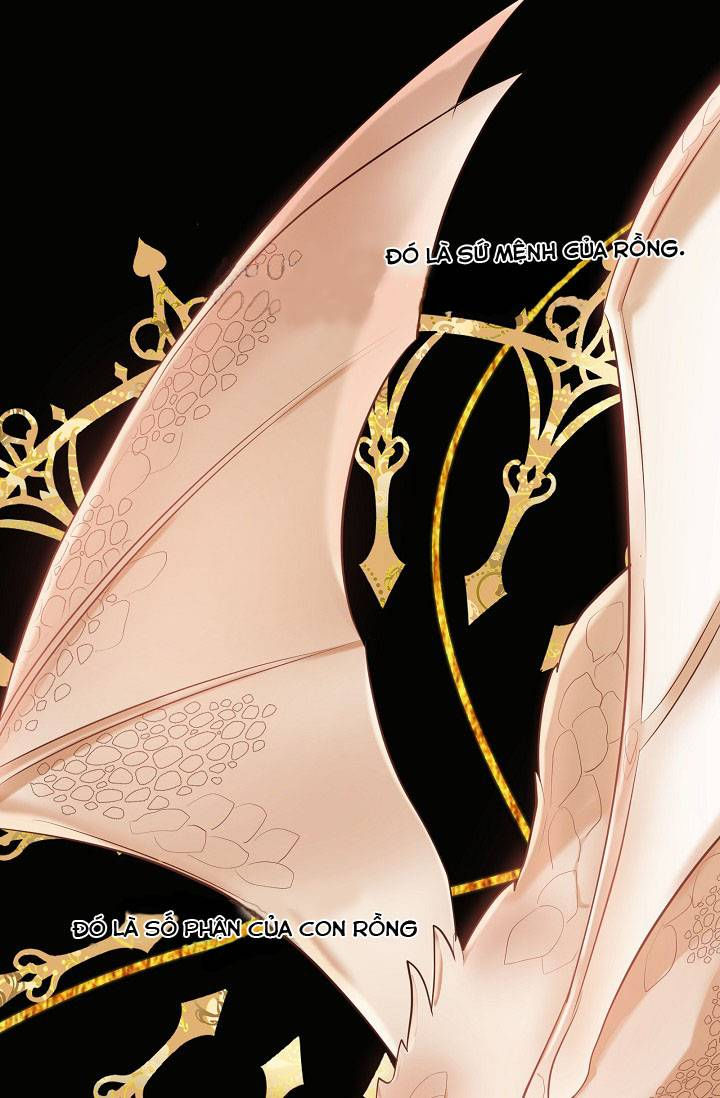 đứa con của rồng chapter 43 3