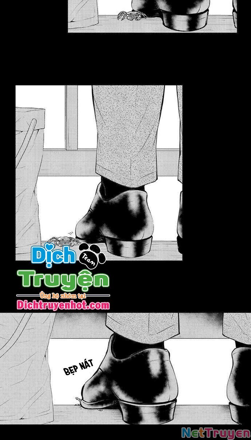 trêu ghẹo "gấu" nhà tôi! chapter 51 12