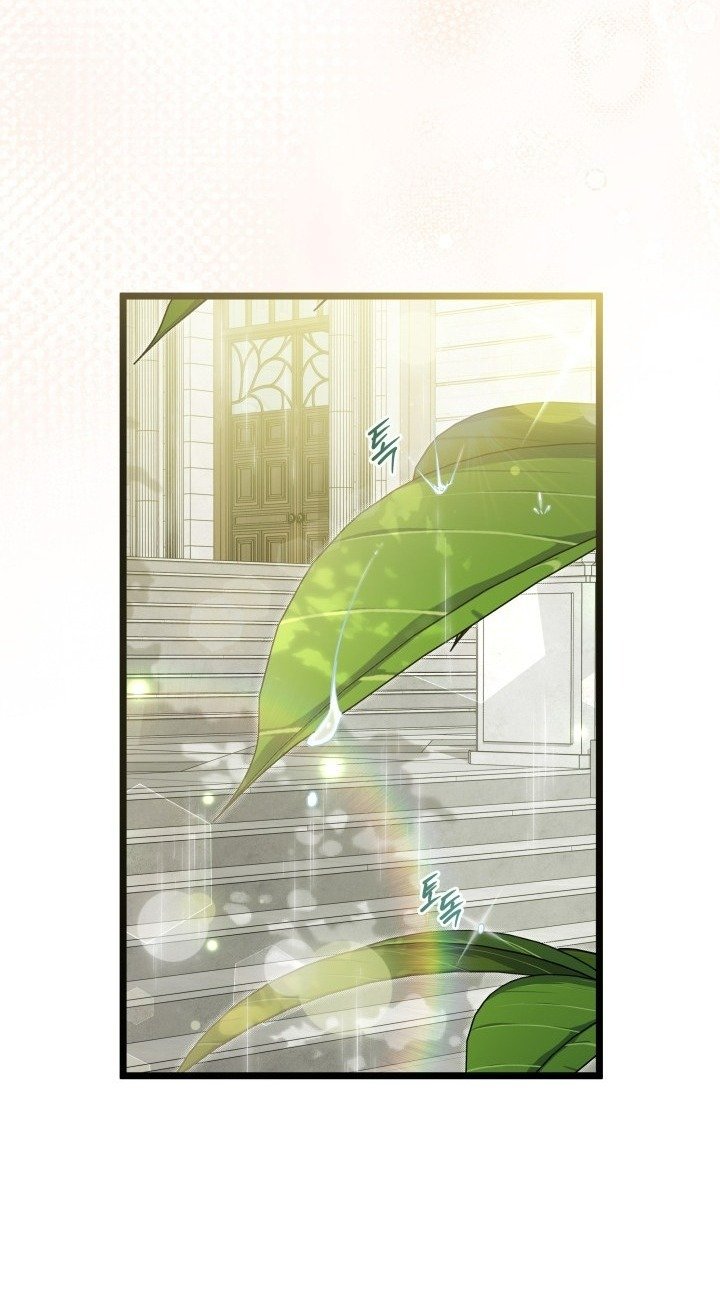 mối liên kết giữa báo đen và bé thỏ chapter 167 30