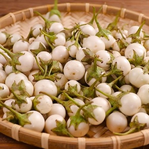 Hạt giống cà pháo trắng