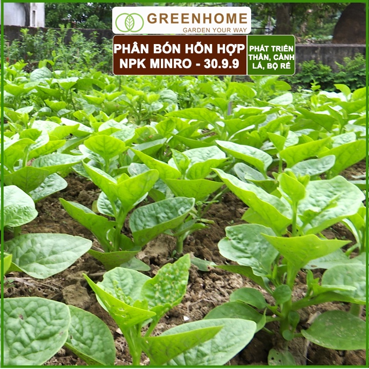 Phân NPK 30-9-9 +TE Greenhome, Minro, Bao 200gr, Phát Triển Nhanh Thân, Cành, Lá, Bộ Rễ Trên Kiểng, Cây Ăn Trái, Củ, Quả