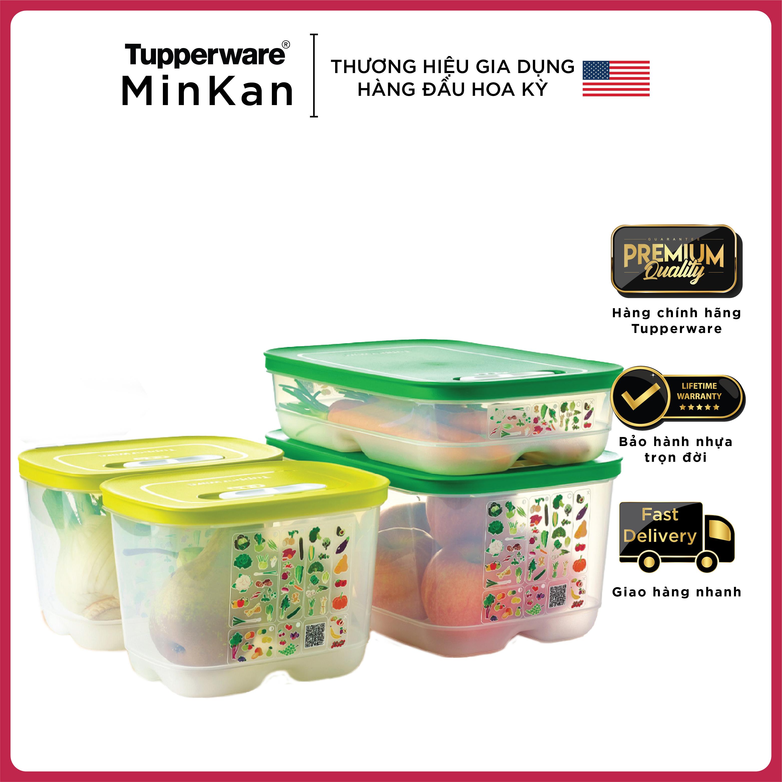 Bộ hộp trữ mát có hút hô hấp Tupperware Ventsmart (Set 4) Mẫu 2022