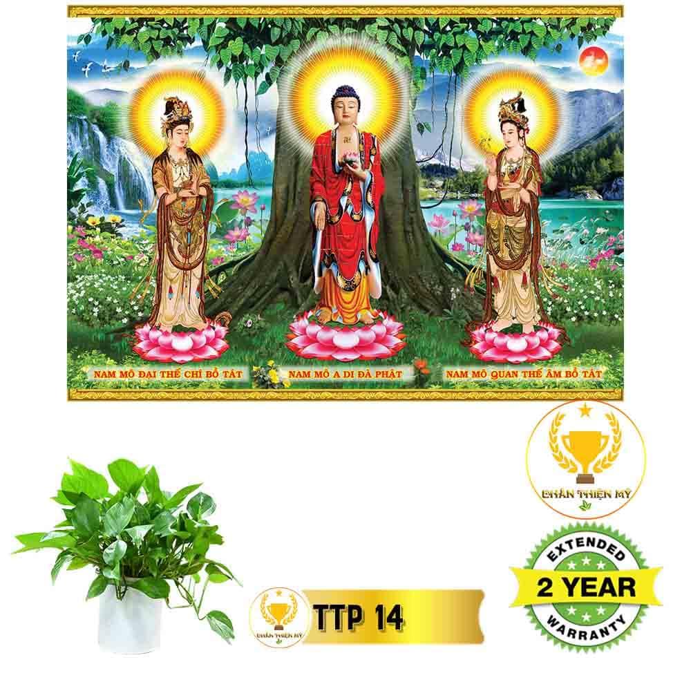 Tranh điện Tam Thế Phật_TTP2