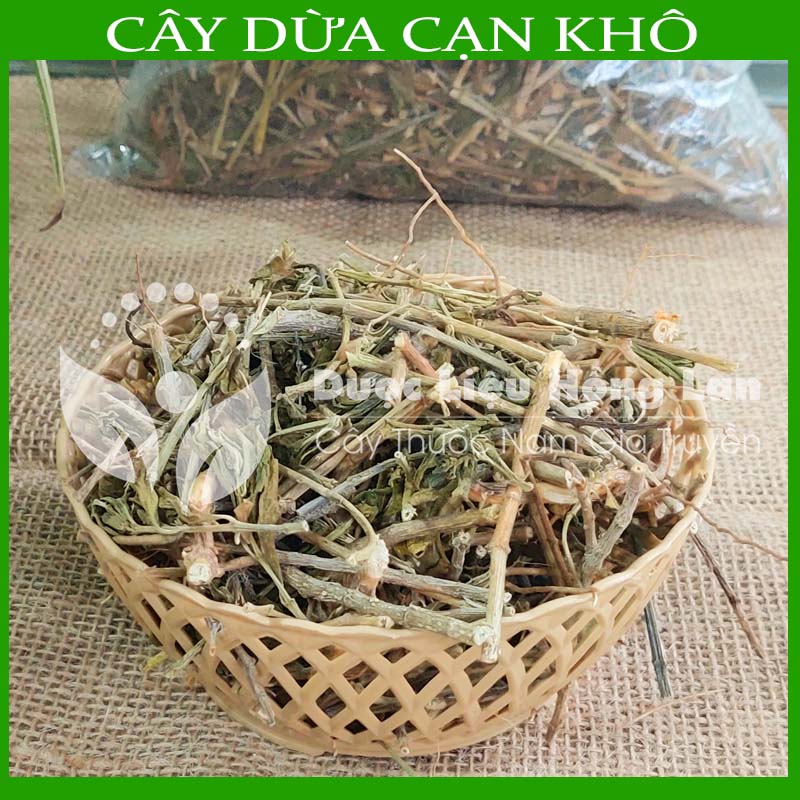 Cây Dừa Cạn khô sạch đóng gói 500gram