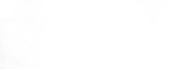 chiếm hữu trái tim bạo chúa chapter 10.2 44