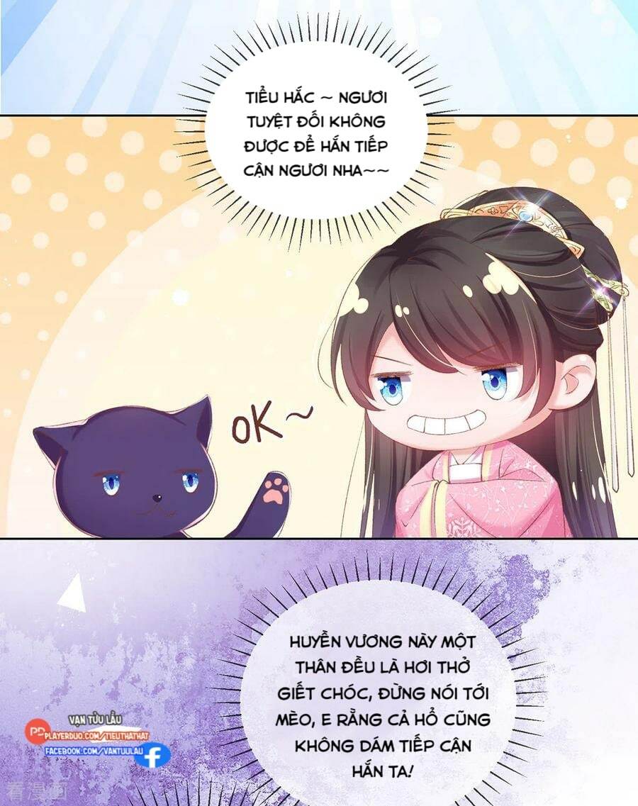 thị huyết y phi chapter 104 12