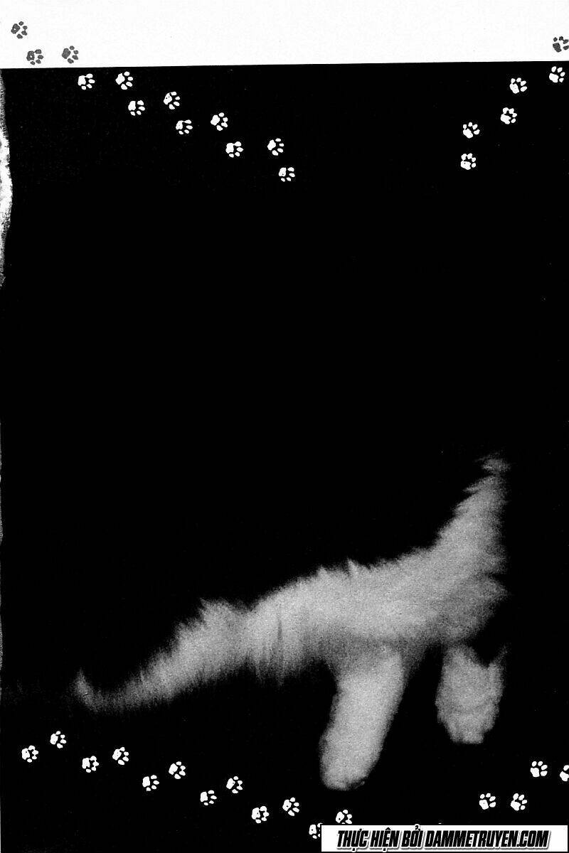 shin kotaro makaritoru! juudouhen chapter 216 3