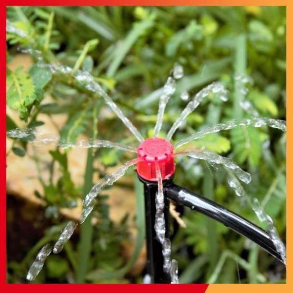 50 đầu nhỏ giọt 8 tia tưới gốc cây 206852