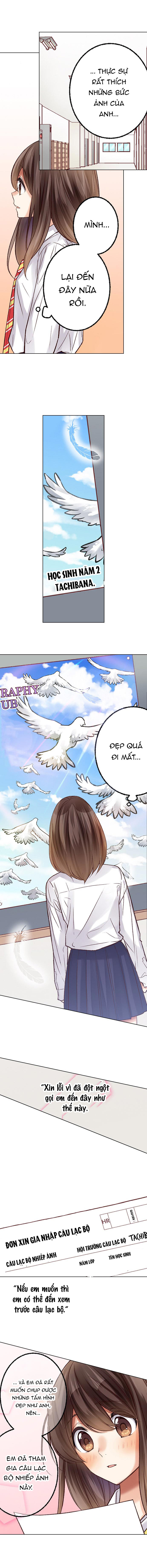 họ chắc chắn đã làm chuyện đó chapter 23.2 4