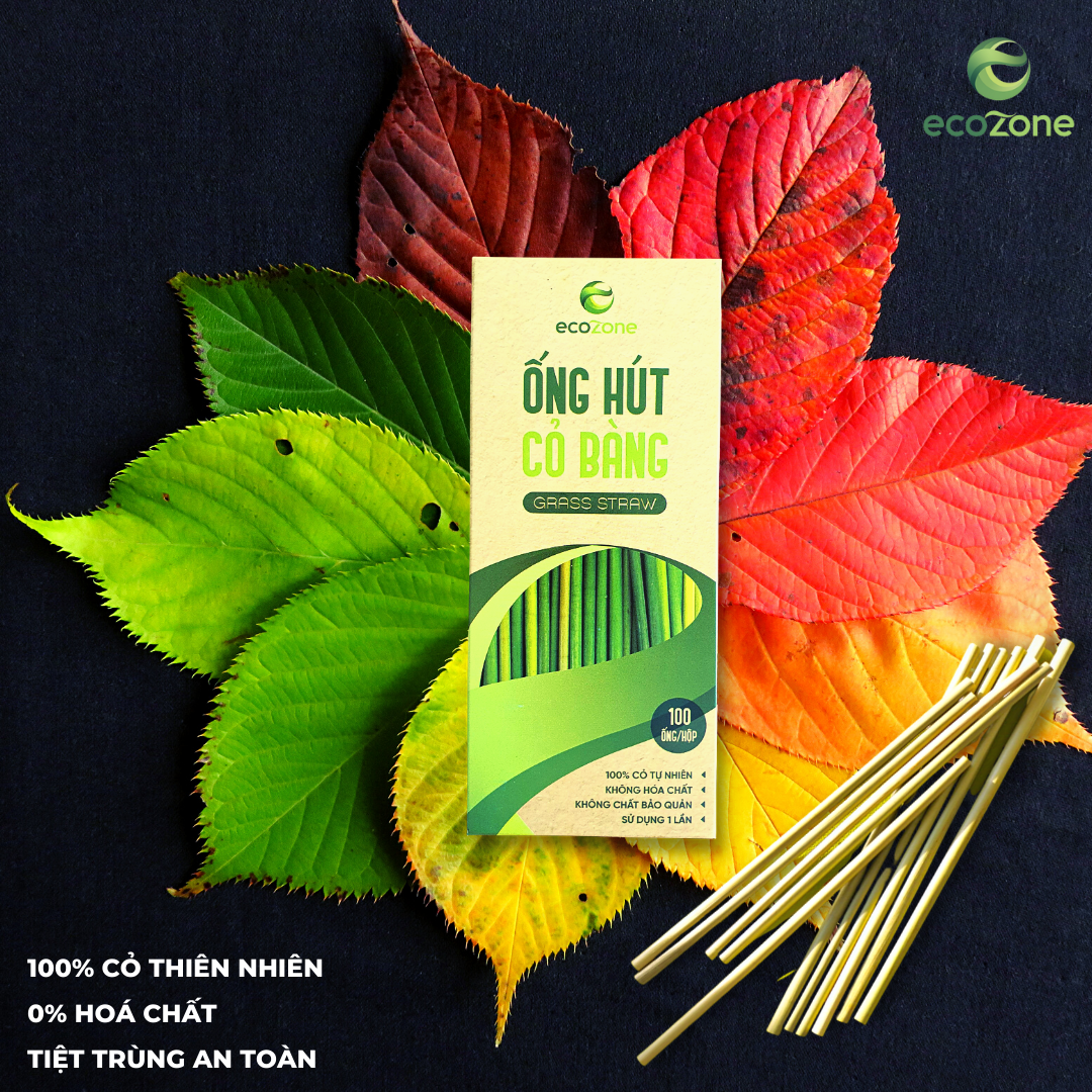 Combo 5 hộp 100 ống hút cỏ bàng khô Ecozone - Grass Straws Vietnam - Tiêu chuẩn xuất khẩu