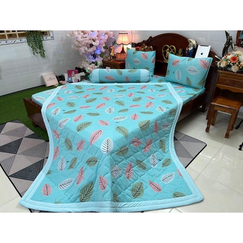 Drap thun hàn quốc