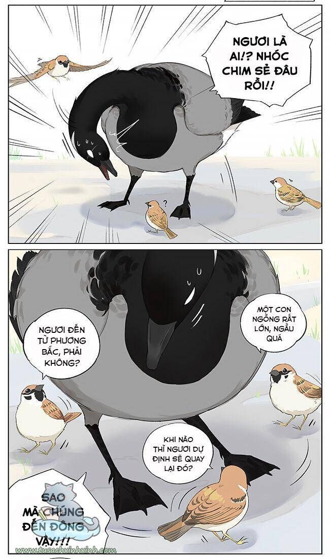 chim sẻ gọi ngỗng trời chapter 9 3