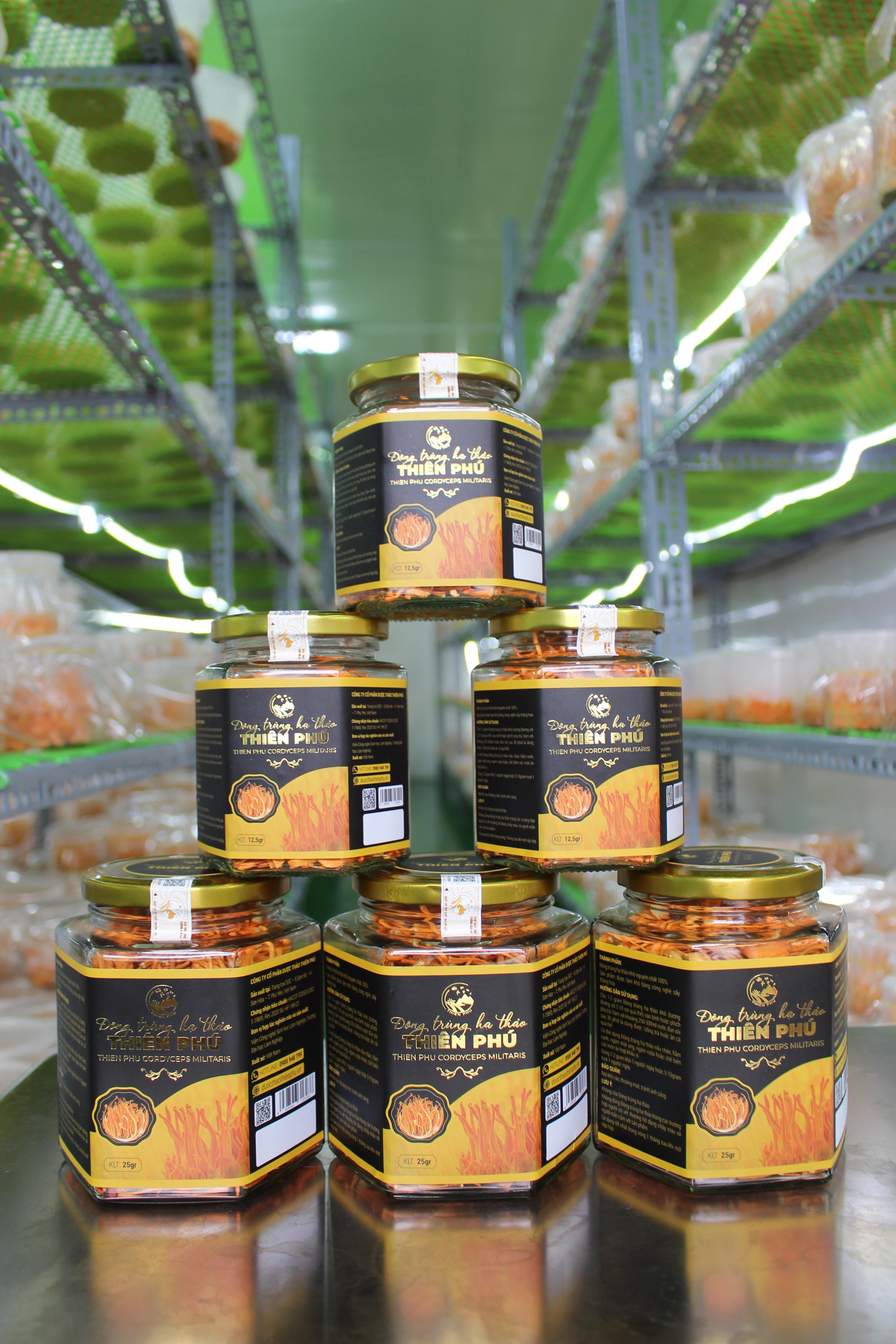 Đông trùng hạ thảo sấy thăng hoa