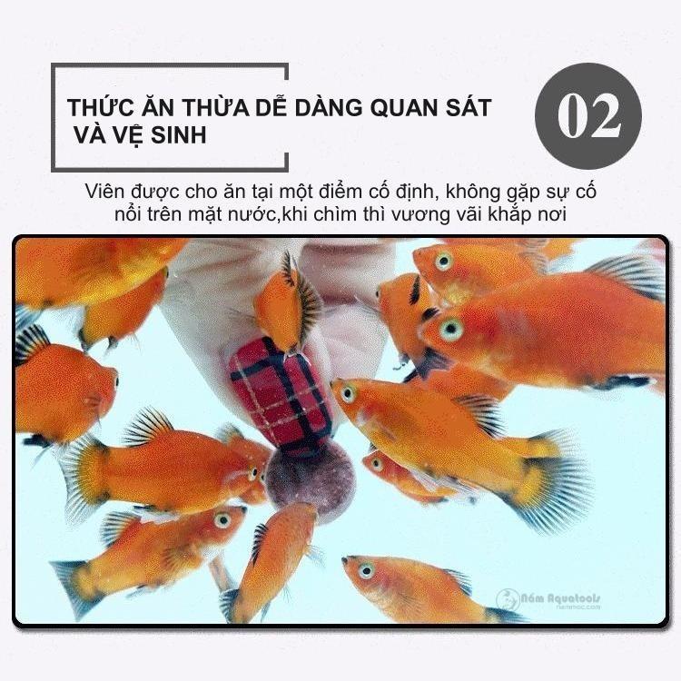 Viên Thức Ăn Dán Dành Cho Cá Cảnh