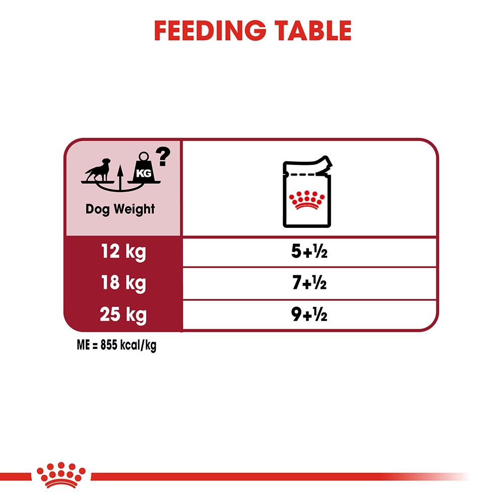 Pate Cho Chó Royal Canin Medium Adult
