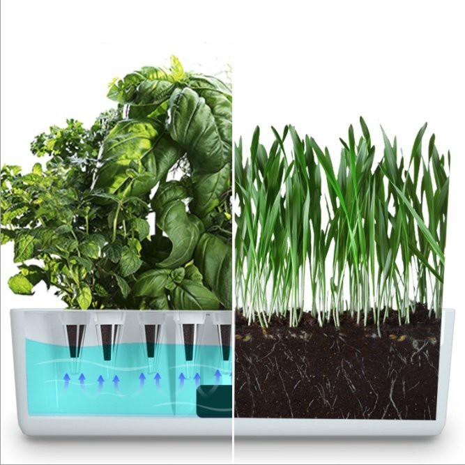 Máy Giúp Cây Trồng Nảy Mầm Gốc Nhanh Có Tích Hợp Led UV Smart Cultivation