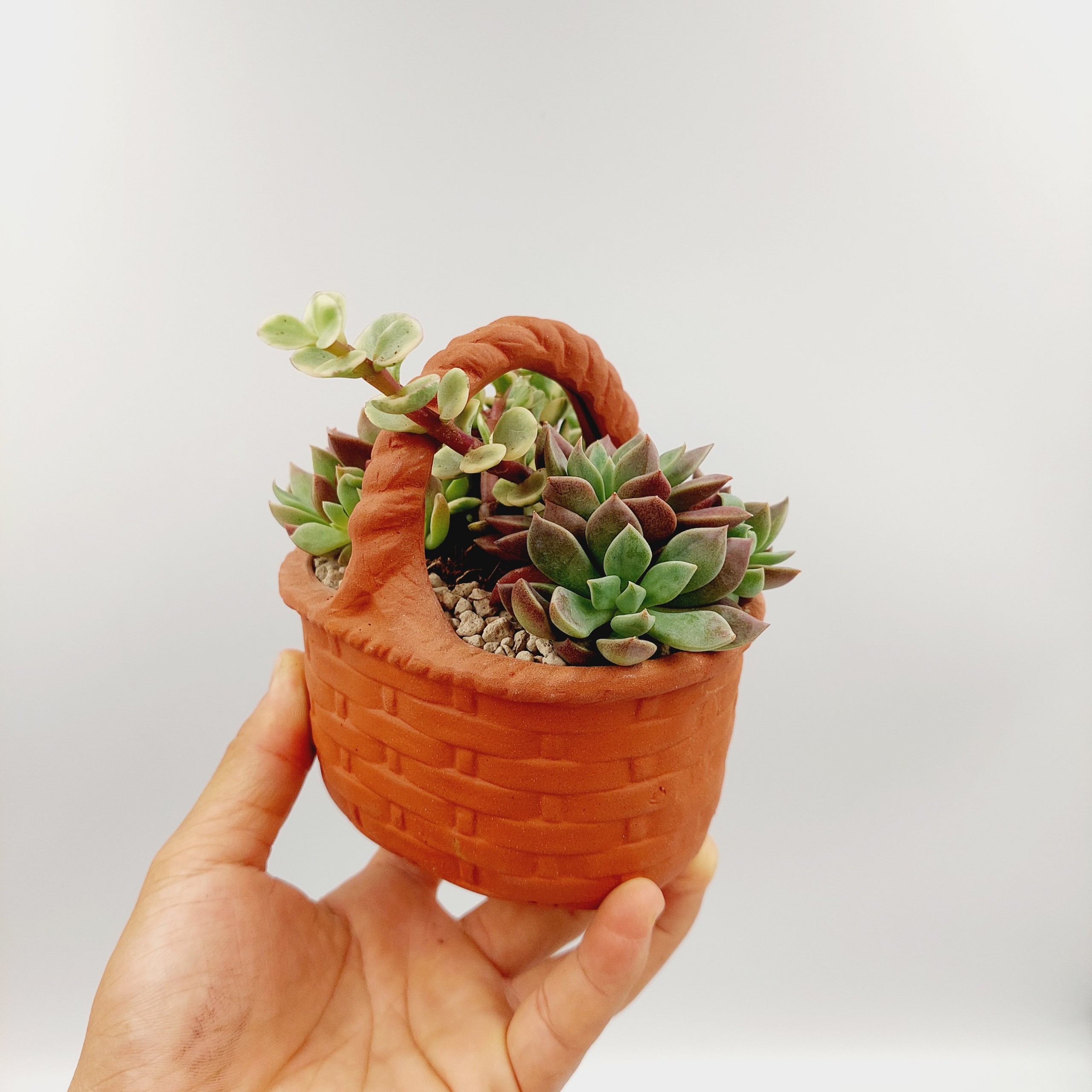 Chậu đất nung, chậu sen đá - Giỏ hoa nhỏ xinh 1212, dài 12cm, rộng 8cm, cao 12cm