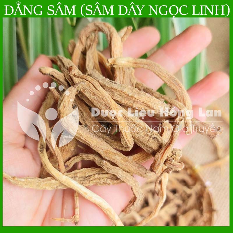 Sâm Dây Ngọc Linh (Đẳng Sâm) khô đóng gói 1kg