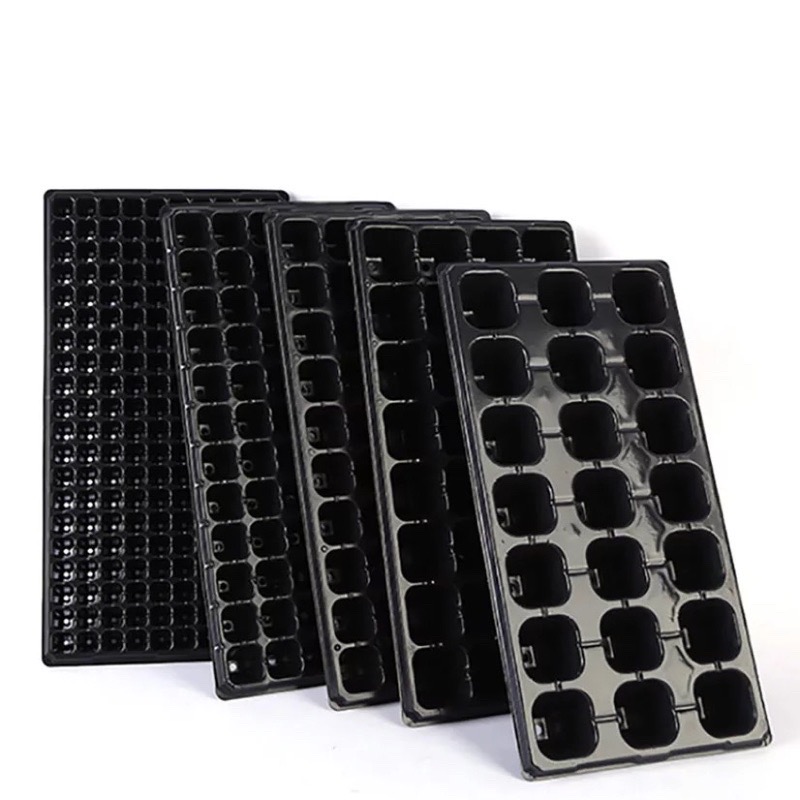 Khay ươm hạt giong 32 lỗ loại dày
