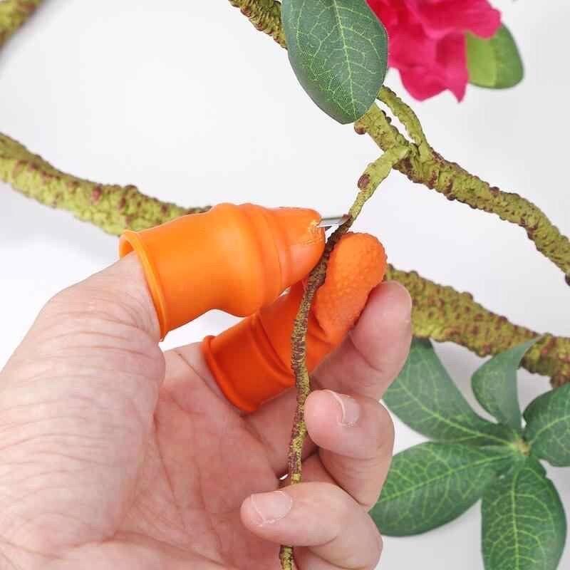 Bao Ngón Tay Cao Su Ngắt Rau Thu Hoạch Nông Sản Tiện Lợi