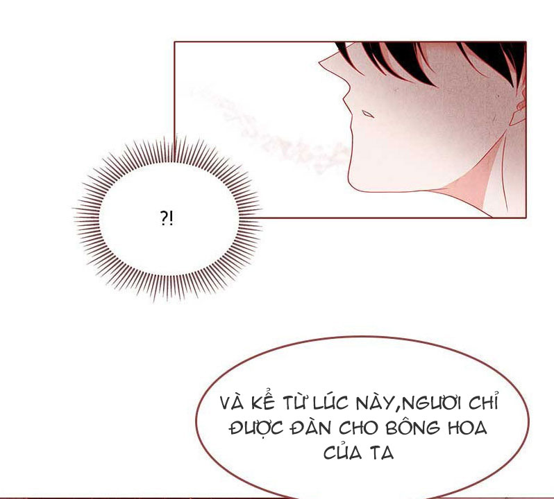 liệu rắn có ăn hoa chapter 1 157