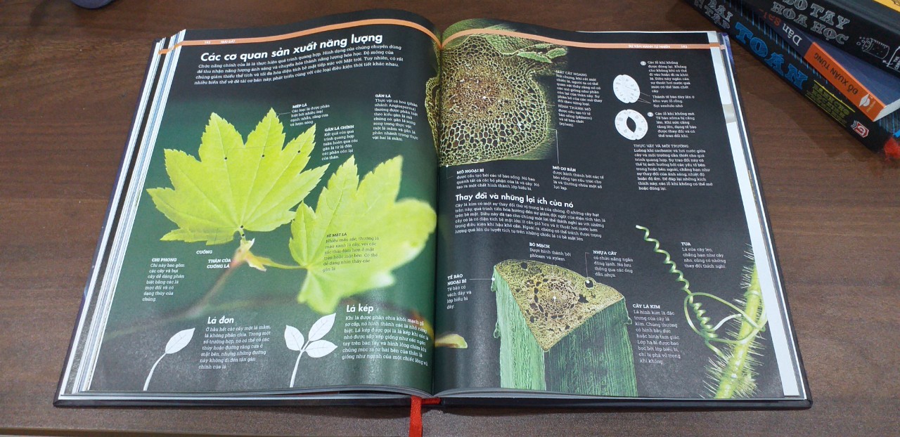 Combo sách Ai cập cổ đại và sách Trái đất - Tổng hợp kiến thức về khoa học tự nhiên và lịch sử - Á Châu Books bìa cứng in màu
