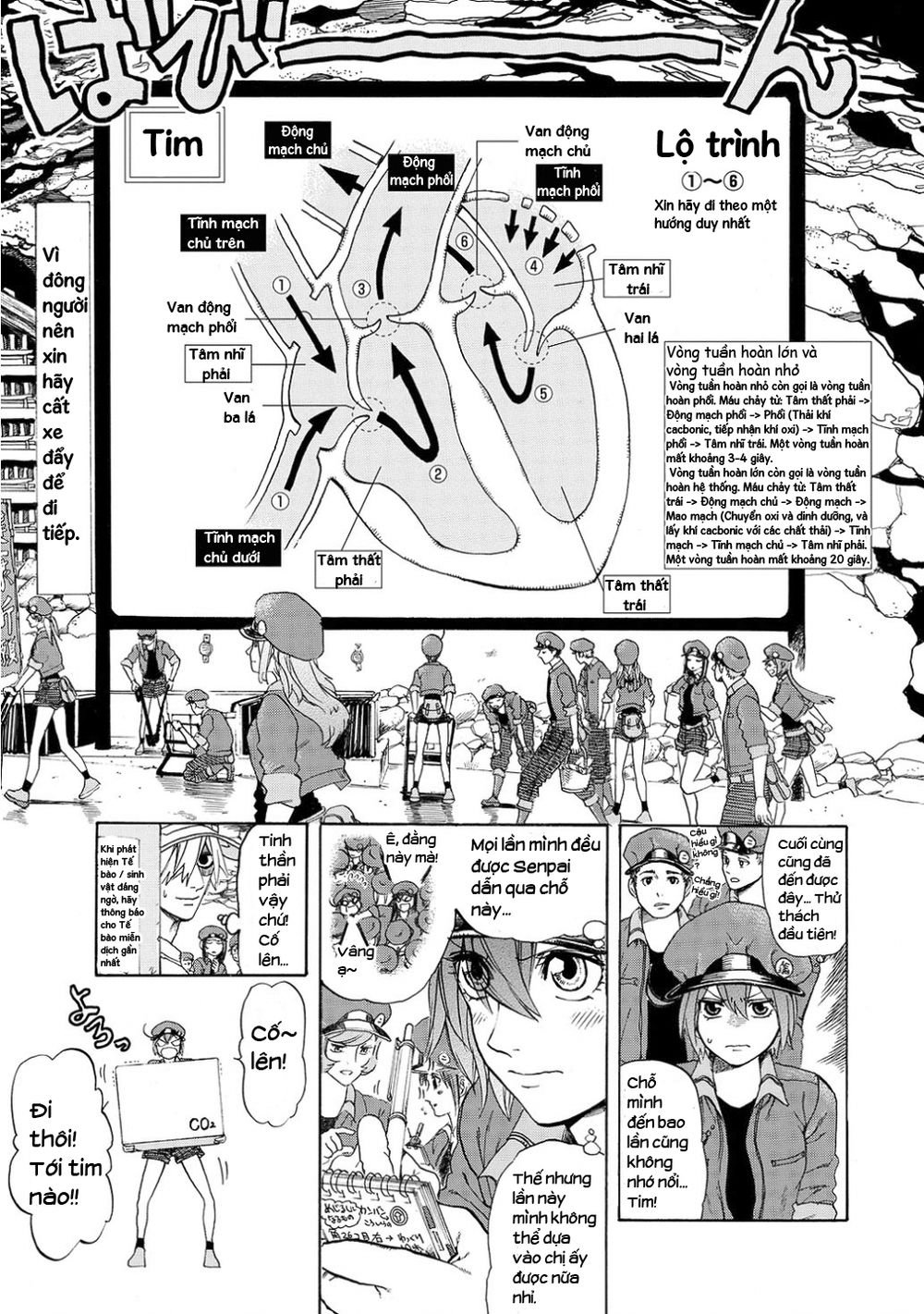 hataraku saibou! chapter 10 13