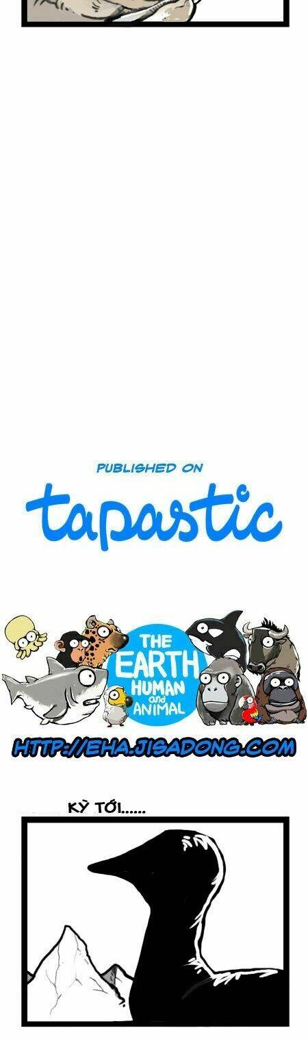 earth, human, and animal chapter 17 25