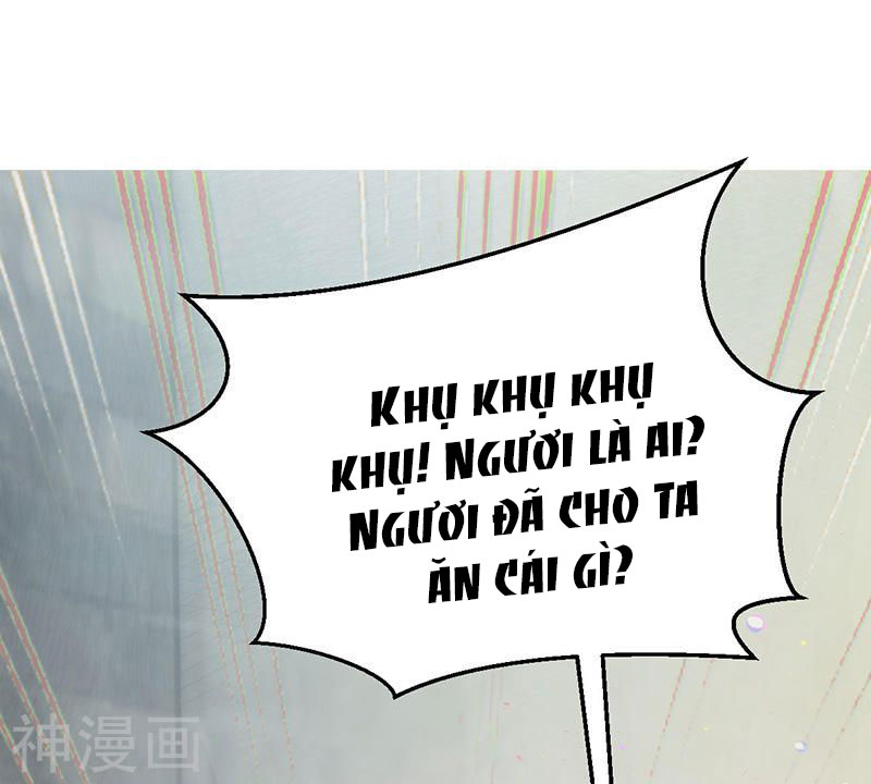 độc tâm cuồng phi khuynh thiên hạ chapter 71 36