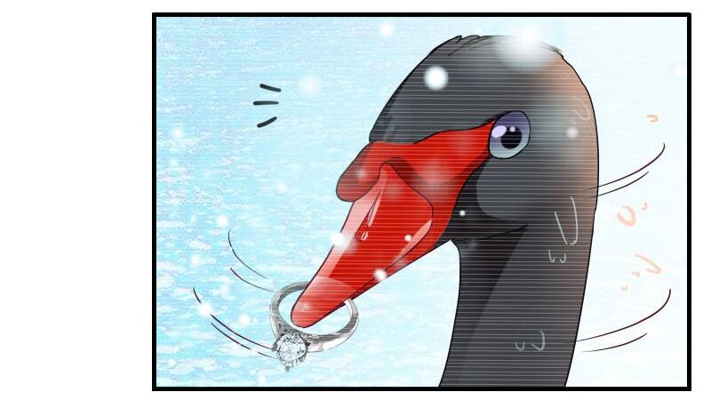 bay qua thiên sơn đến yêu anh chapter 5 30