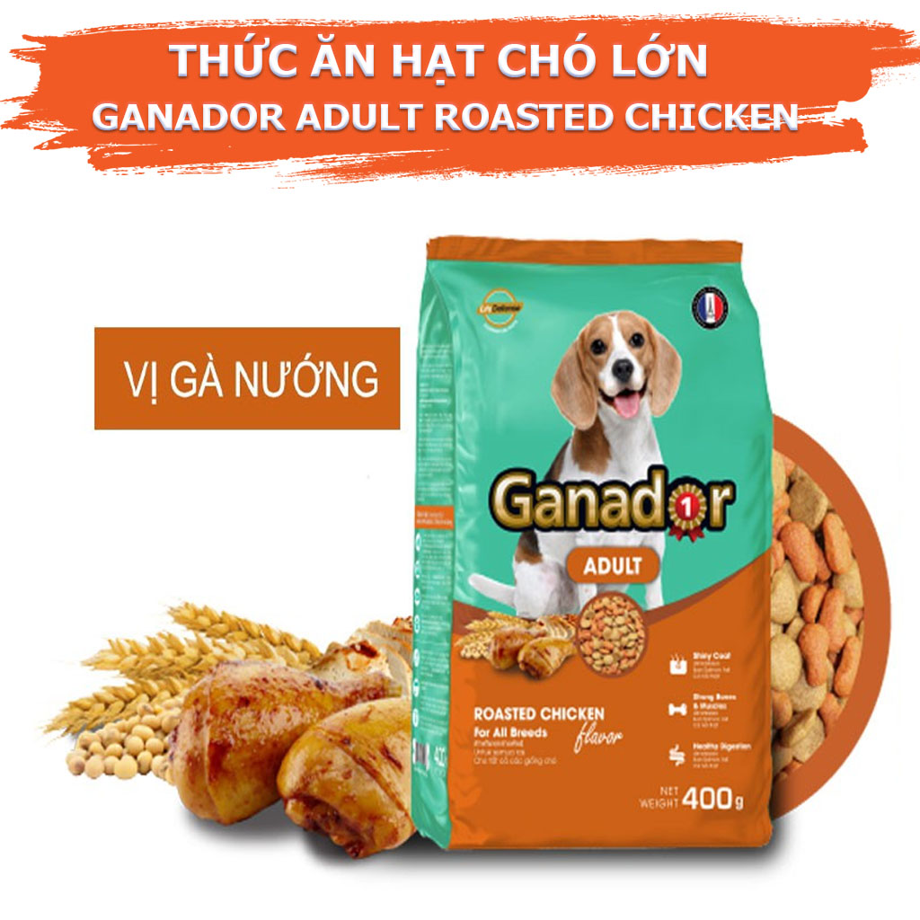 COMBO 5 Gói Thức Ăn Hạt Chó Lớn Ganador Adult Roasted Chicken Gói 400g - YonaPetshop