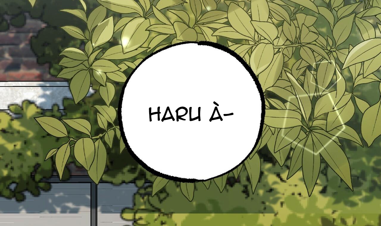 đàn thỏ của habibi chapter 44 246