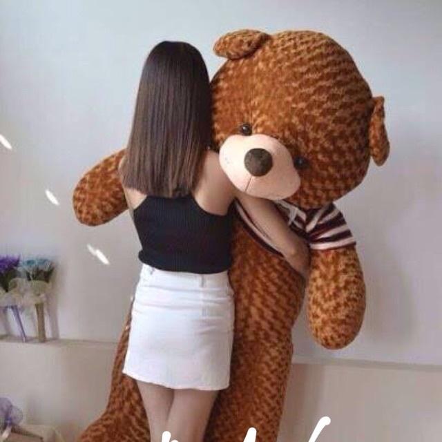 Gấu bông Teddy ̀  ̂́, gối ôm hình thú nhồi bông siêu to khổng lồ 1m8/1m5/1m3/1m1/95cm