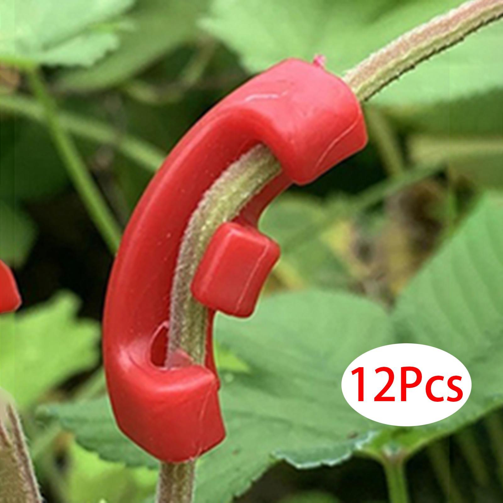 10Pcs Plant Trainer Clips Accs Garden Decoration for Training Flower Outdoor