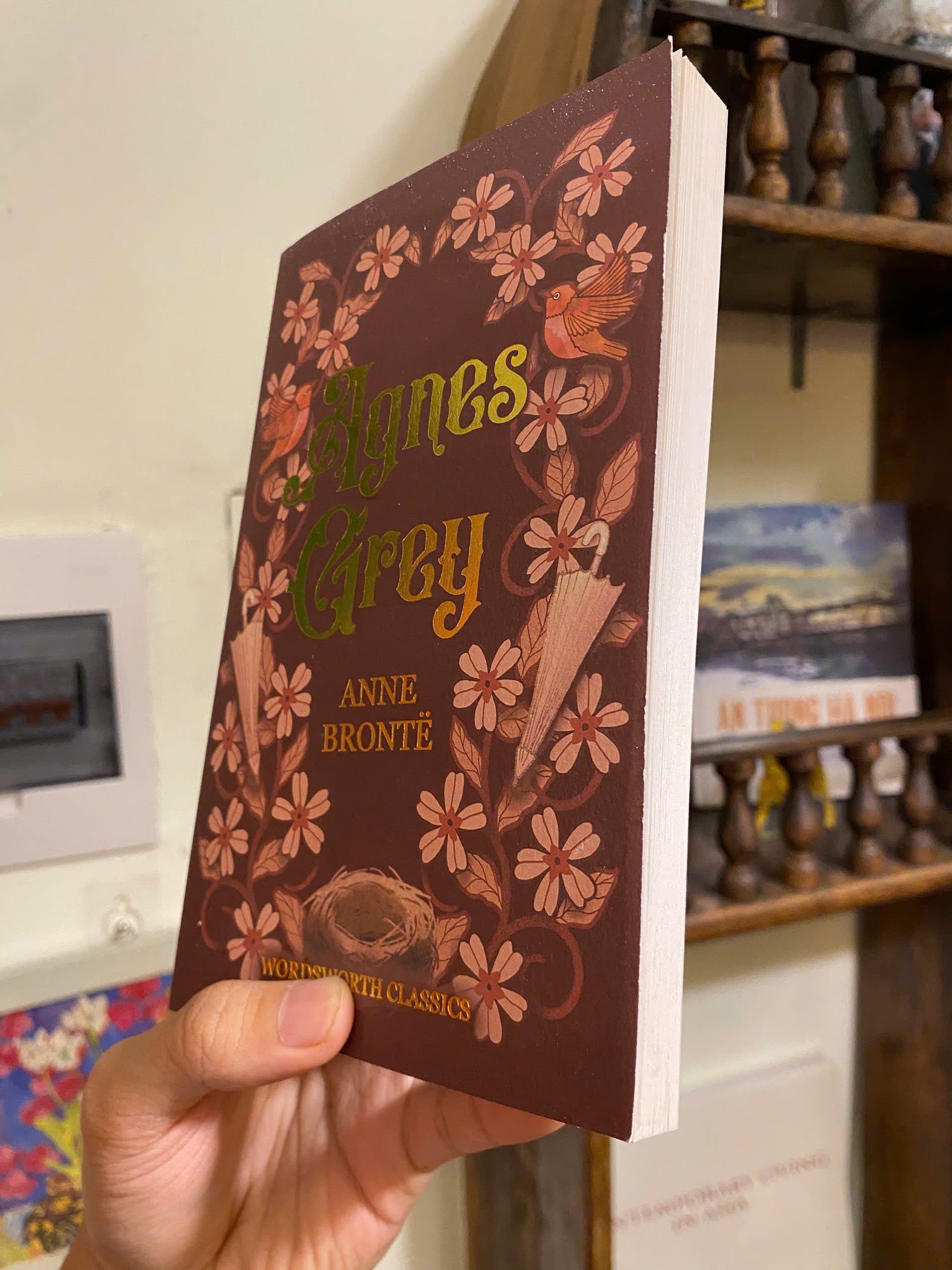 Sách - Agnes Grey (Wordsworth Classics) by Anne Brontë | English Romance Fiction - Sách ngoại văn