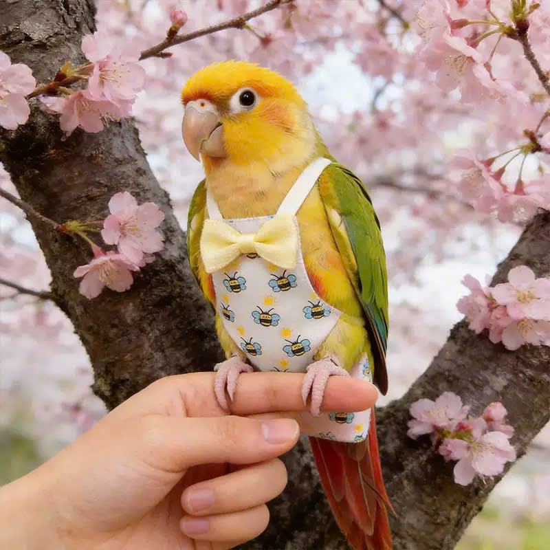 QUẦN ÁO TÃ CHO CHIM CẢNH CHIM VẸT DỄ THƯƠNG MÃ 3 XINH XẮN CHO THÚ CƯNG CHIM