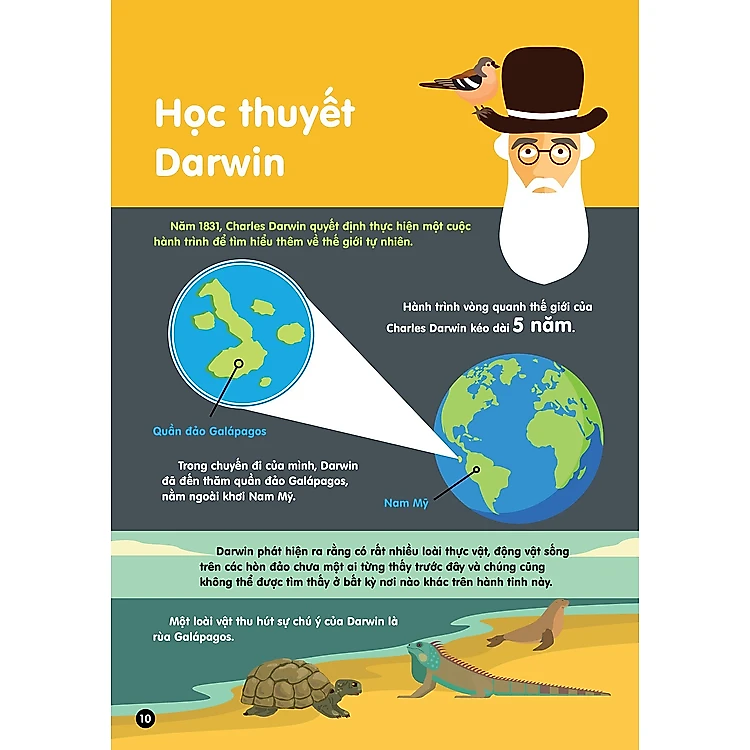 Sách Infographics - Bách khoa tri thức bằng đồ họa cho trẻ em