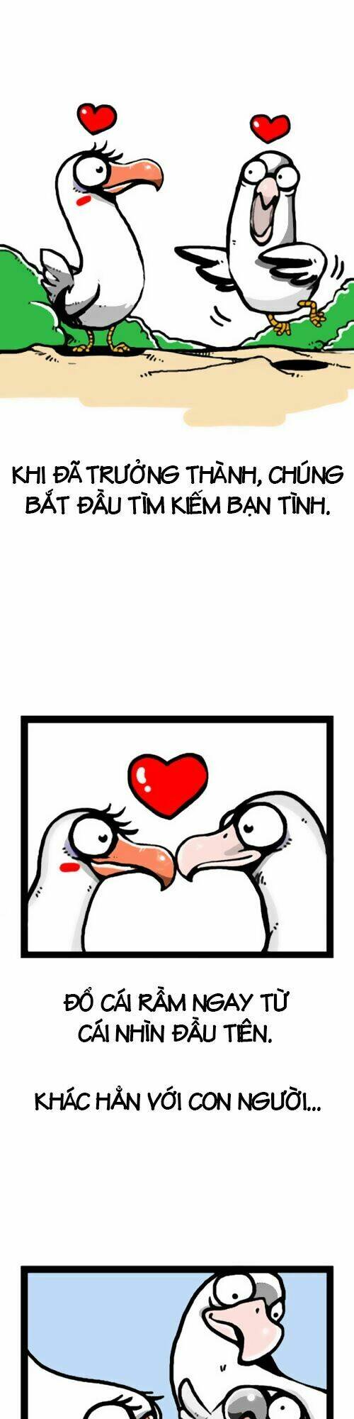 earth, human, and animal chapter 1 10