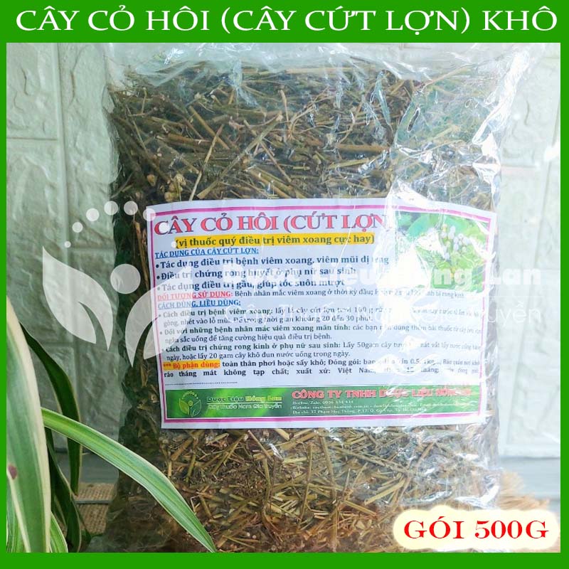 Cây Cỏ Hôi  khô 500gram