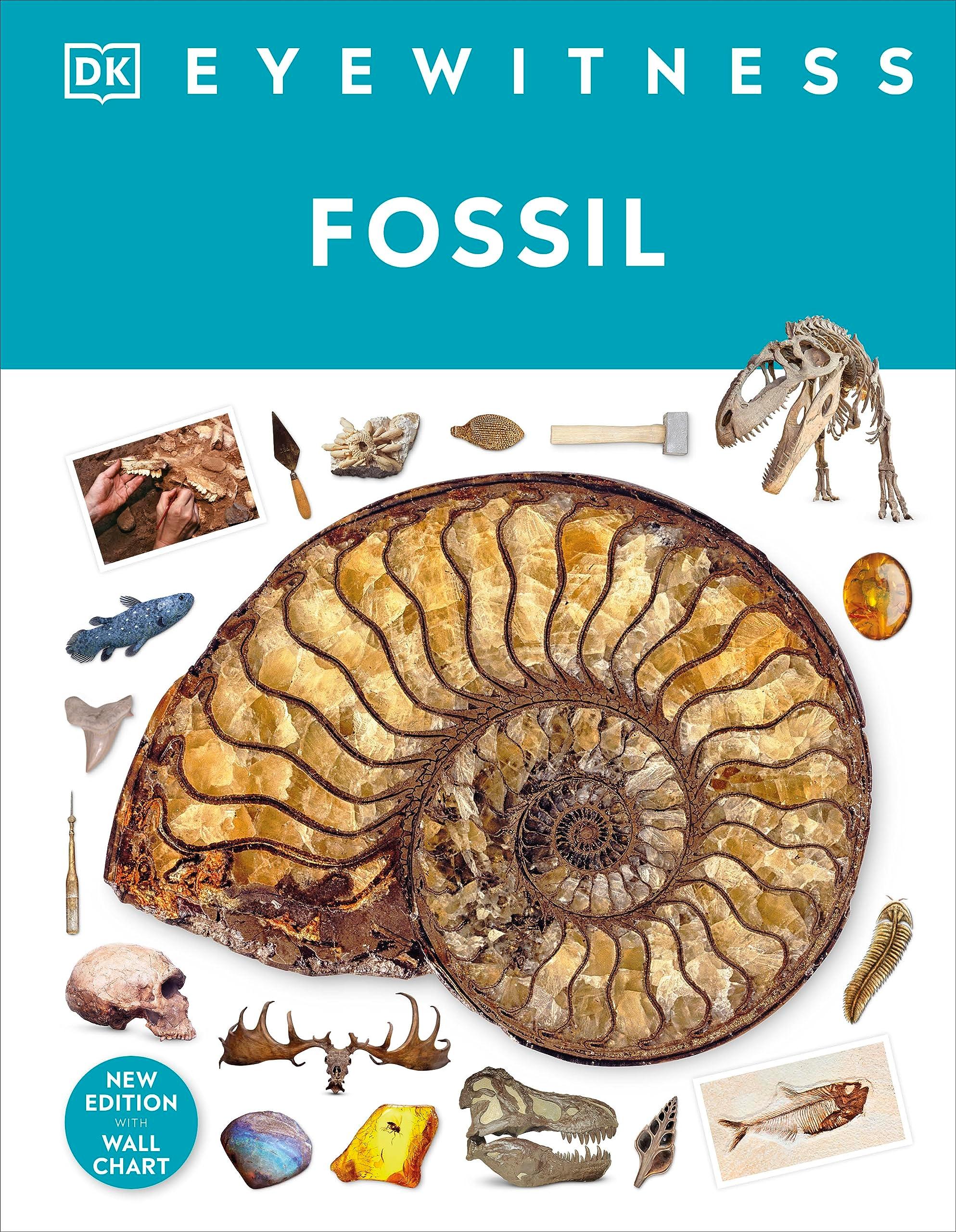 Sách ngoại văn: Eyewitness - Fossil