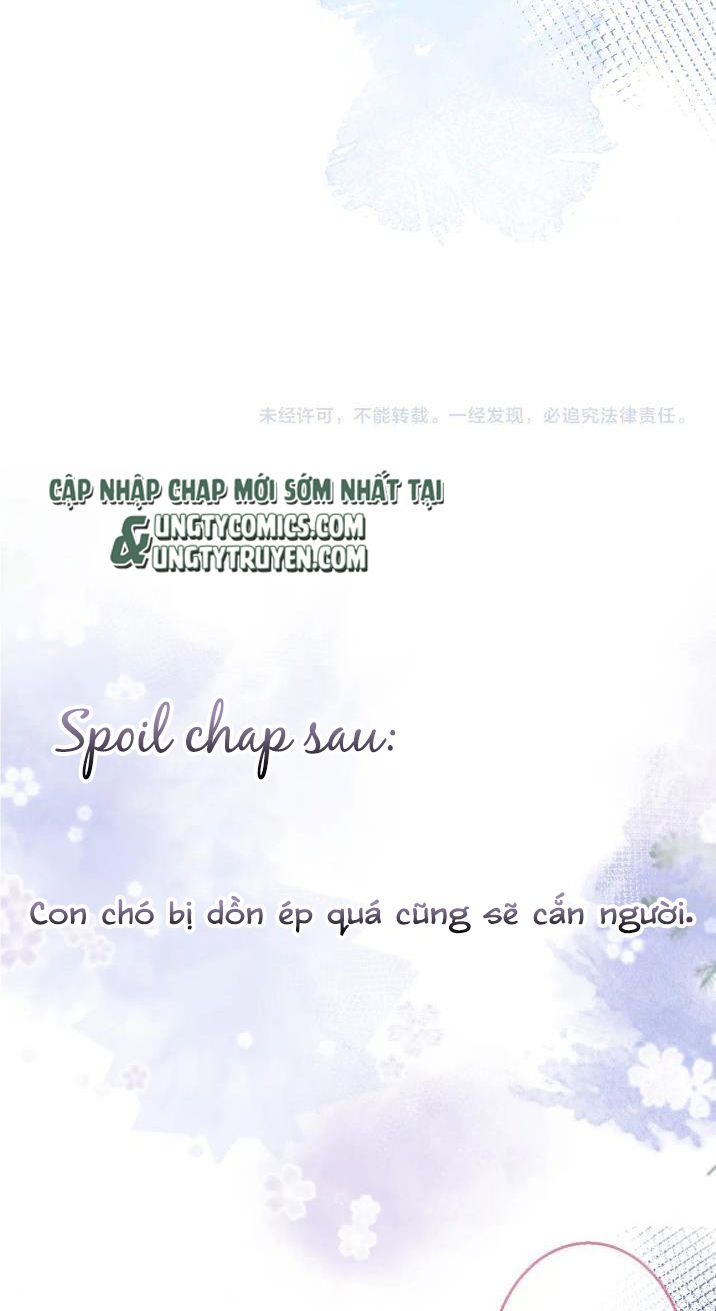 Tiểu Lang Cẩu Của Ảnh Đế Gia chapter 8