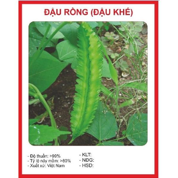 Hạt giống Đậu Rồng Xanh - 1 gói 5gram