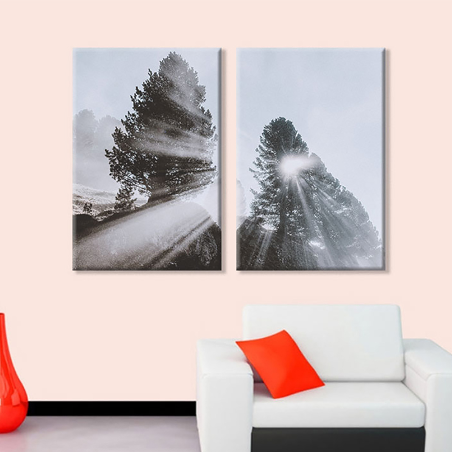 Bộ 2 Tranh Canvas Cây Cao Bóng Cả - W120
